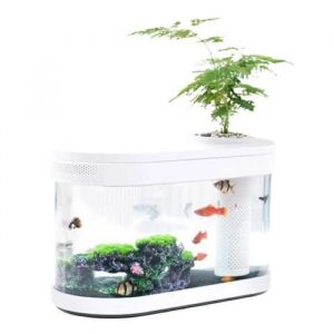 akva-ferma-xiaomi-lucky-amphibious-geometry-fish-tank-2-8388779-jpg