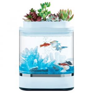 akvaferma_xiaomi_geometry_mini_lazy_fish_tank_pro_c300_1-8803480-jpg