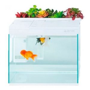 akvarium-xiaomi-geometry-ai-intelligent-fish-tank-explorer-edition-2-9017307-jpg