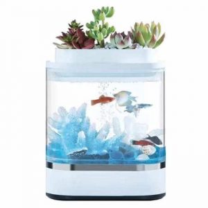 akvarium-xiaomi-mijia-geometry-mini-lazy-fish-tank-usb-1-9861576-jpg