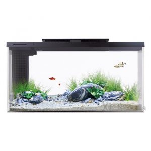 akvarium-xiaomi-petkit-origin-intelligent-fish-tank-with-landscape-quiet-stone-set-1-7659858-jpg